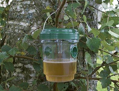 Hvepsefælde m/ Solcelle og LED Lys 2 Stk.