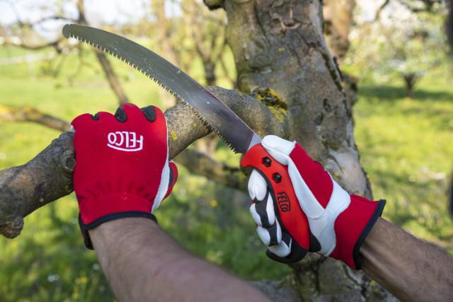 Felco 702 Beskæringshandsker