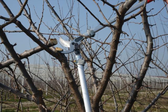 Felco 220 Grensaks med udveksling