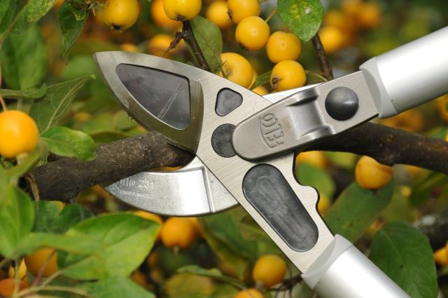 Felco 231 Tohåndsbeskæresaks