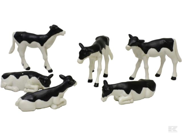 Sortbroget Kalve 6 stk.