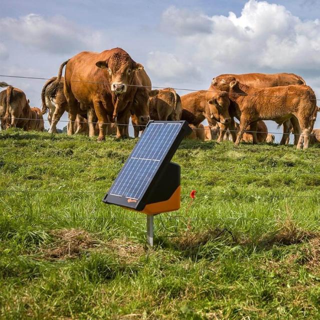 Gallagher S200 Spændingsgiver med Solcelle inkl. Batterier