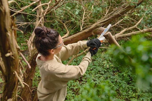 STIHL GTA 30 med 2x AS2 batteri og 1x AL 5-2 lader